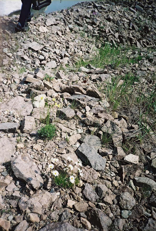 Колыма - путешествие в прошлое 2001 г.