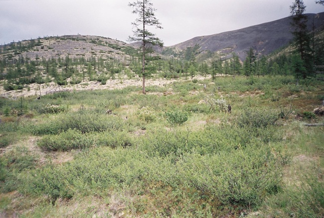 Колыма - путешествие в прошлое 2001 г.