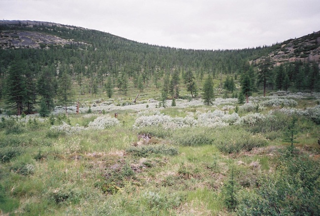 Колыма - путешествие в прошлое 2001 г.