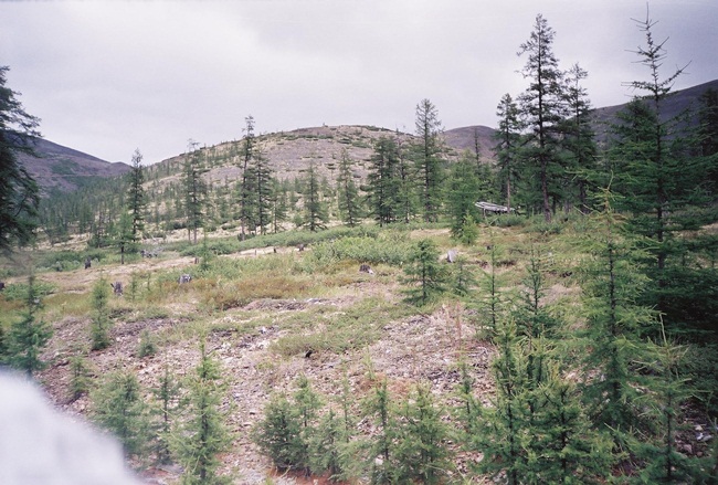 Колыма - путешествие в прошлое 2001 г.