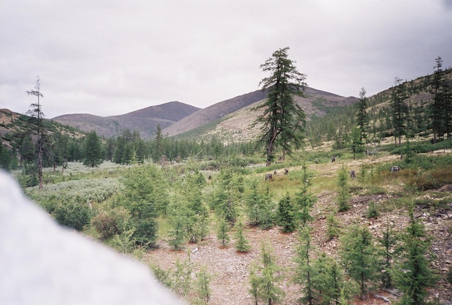 Колыма - путешествие в прошлое 2001 г.