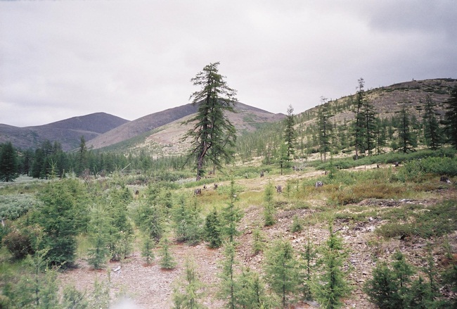 Колыма - путешествие в прошлое 2001 г.