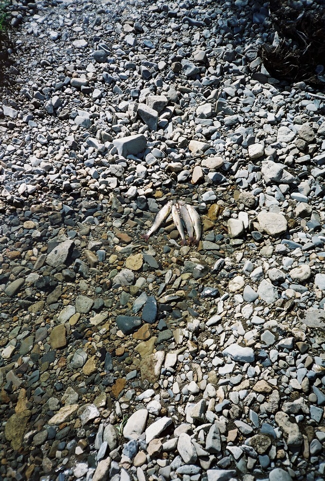 Колыма - путешествие в прошлое 2001 г.