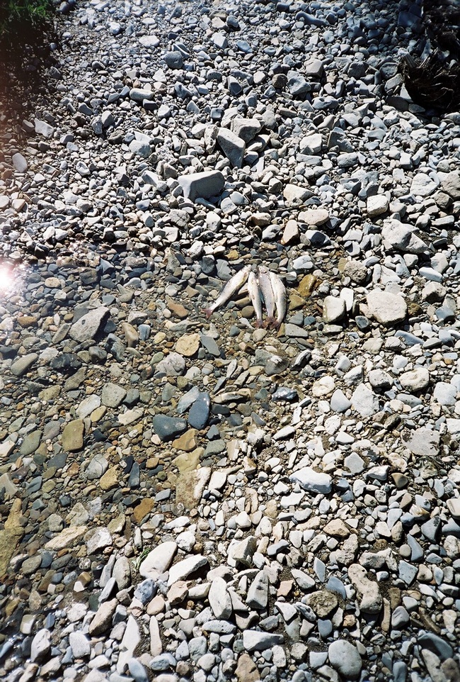 Колыма - путешествие в прошлое 2001 г.