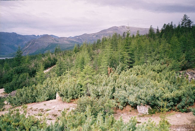 Колыма - путешествие в прошлое 2001 г.