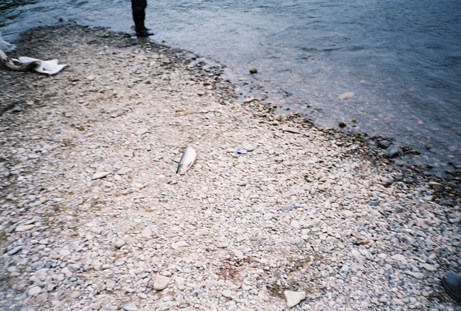 Колыма - путешествие в прошлое 2001 г.