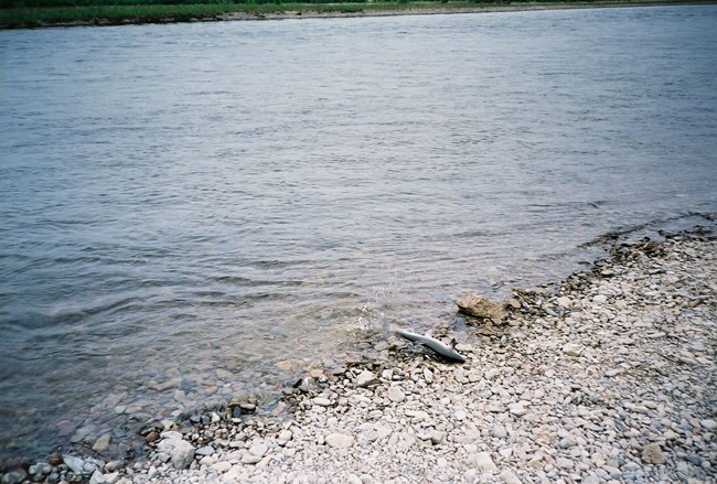 Колыма - путешествие в прошлое 2001 г.